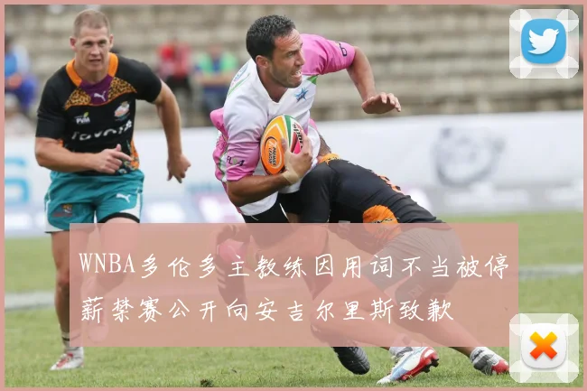 WNBA多伦多主教练因用词不当被停薪禁赛公开向安吉尔里斯致歉